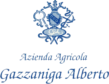 logo_full_trasp_72_350.png