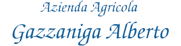 logo_scritta_semitrasp_520_72.png